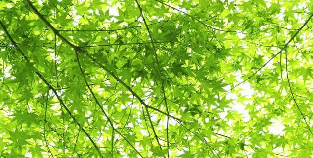 100句关于早安的说说,简短早安八个字励志语录