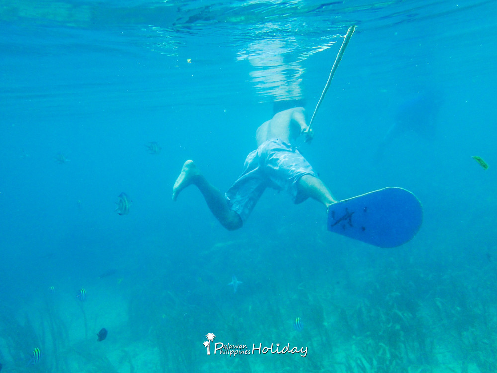 巴拉望｜本田湾真的是本田公司买下的吗？来了这里才知道