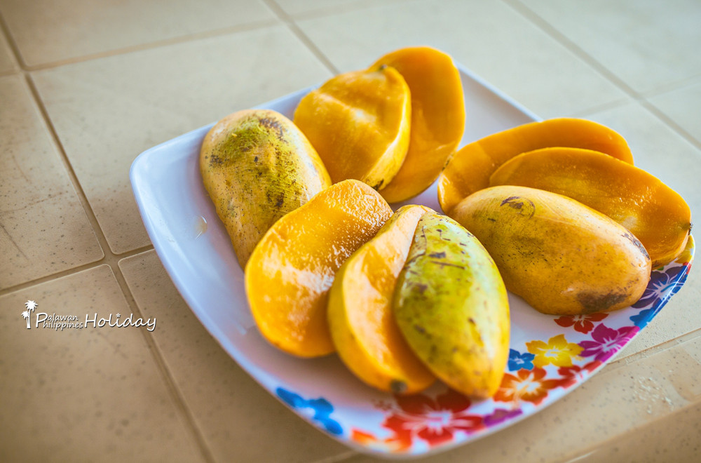 巴拉望｜本田湾真的是本田公司买下的吗？来了这里才知道