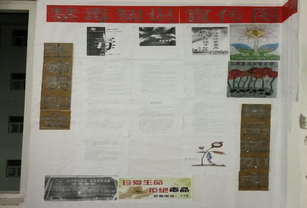 黔西南州禁毒,安龙县小学禁毒知识进校园简报