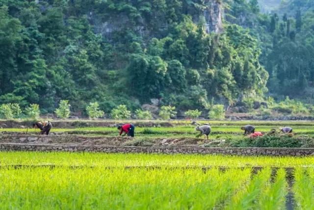 贵州兴义夏天有什么好玩的,兴义野外适合夏天玩的地方