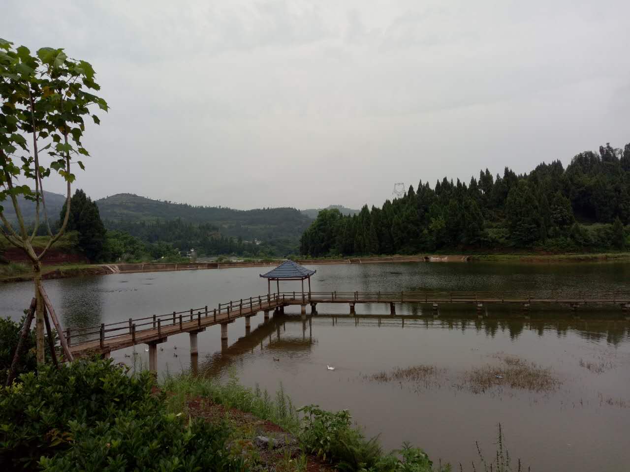 南充市世阳镇最新视频,南充世阳镇最新消息