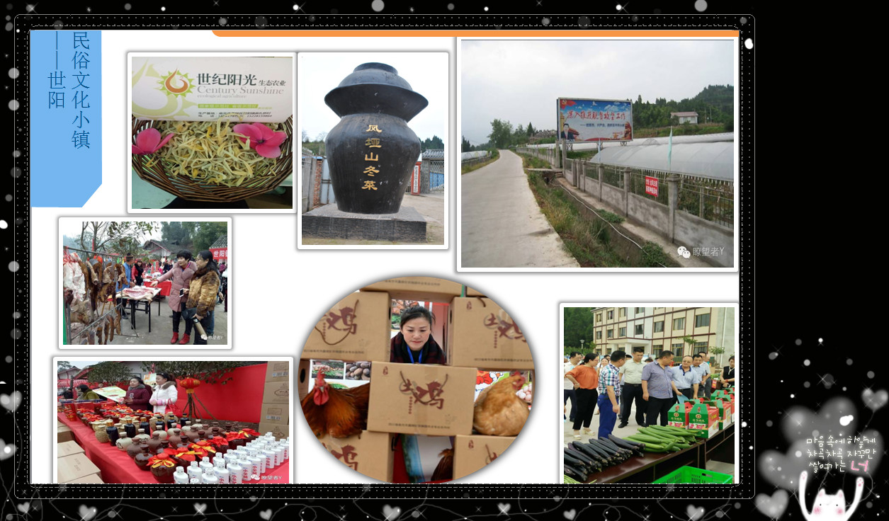 南充市世阳镇最新视频,南充世阳镇最新消息