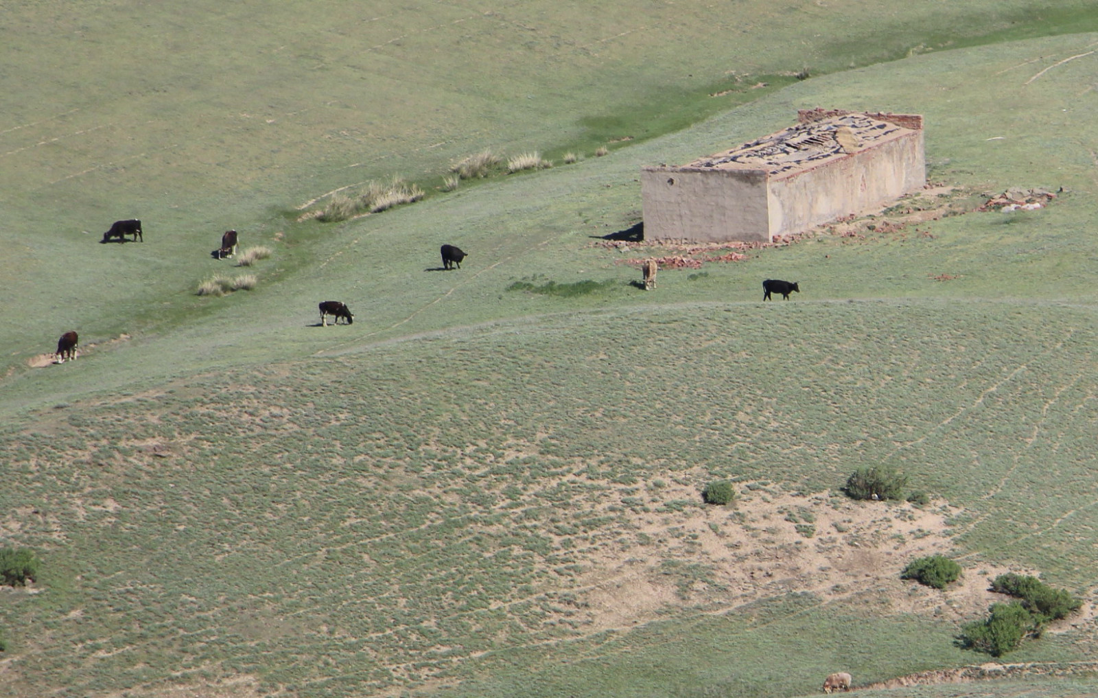 乌鲁木齐石人沟民俗,乌鲁木齐风情