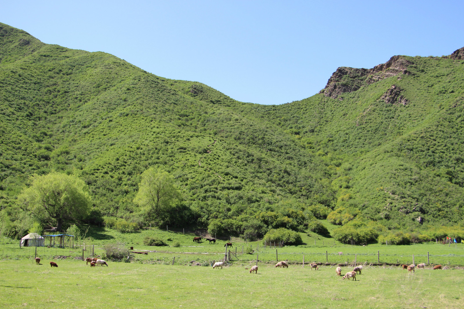 乌鲁木齐石人沟民俗,乌鲁木齐风情