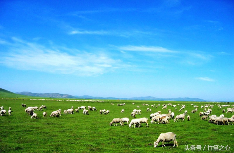 中国竹笛基础知识,竹笛跟笛子有什么区别