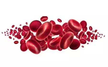 再障造血干细胞移植,新桥医院重型再障造血干细胞移植