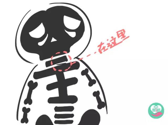 小伴身边的故事：一根700元的鱼刺