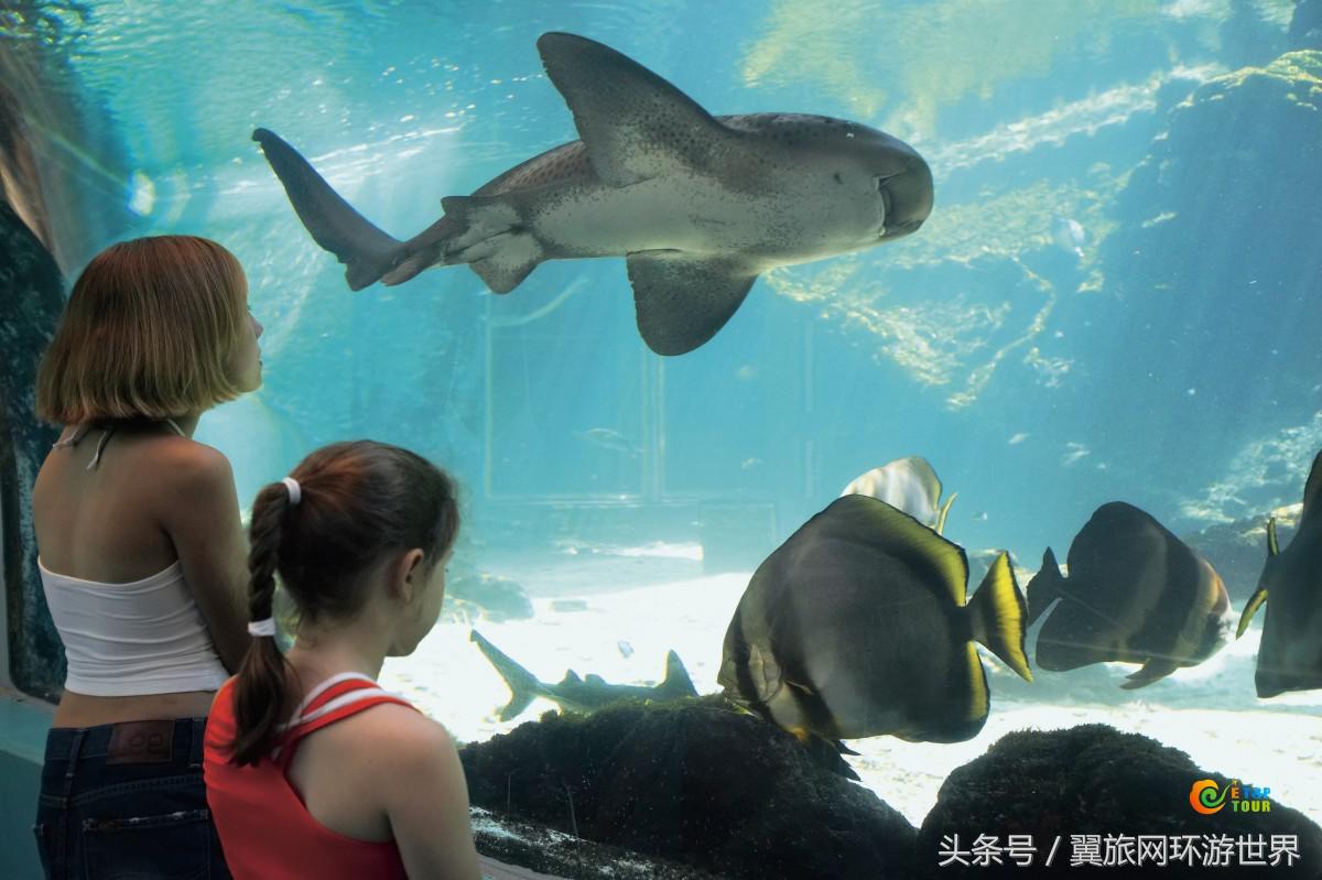 暑期去哪嗨？昆士兰100个亲子旅行项目等着您