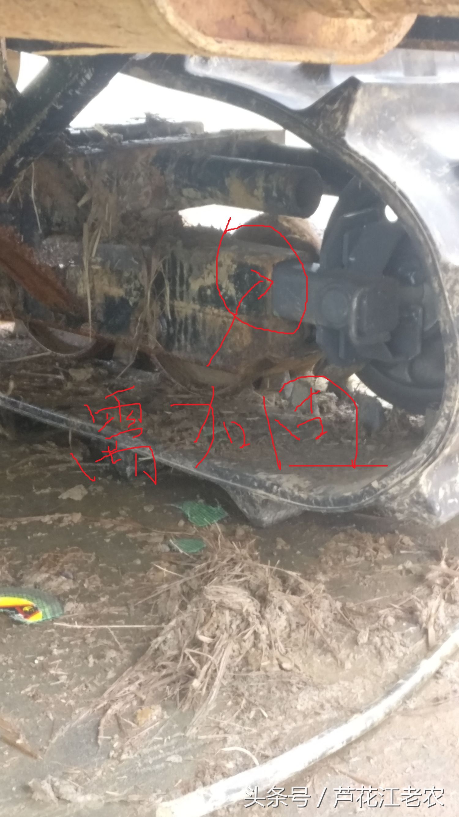 福田玉米收割机大轮改履带,福田gr70履带收割机