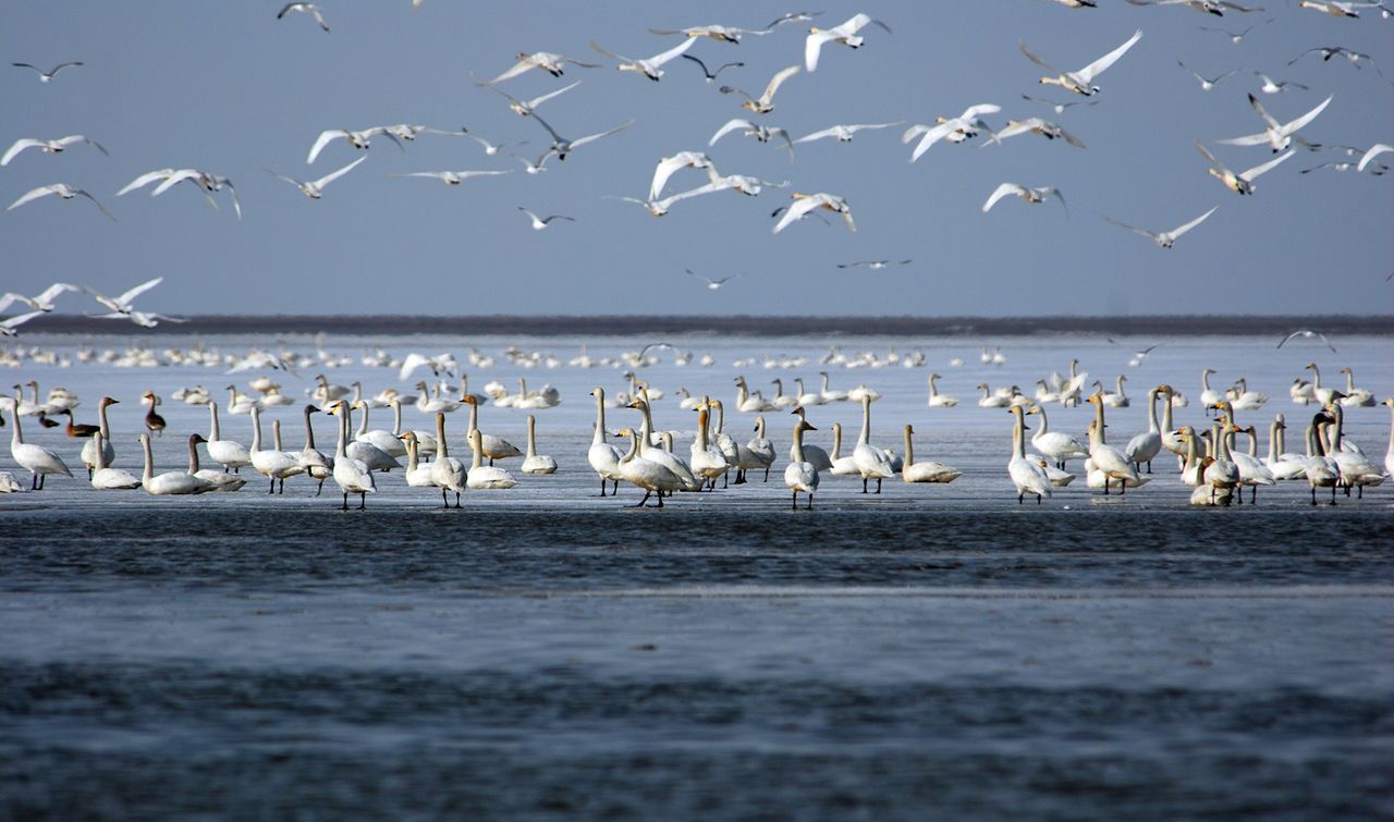 在内蒙古赤峰去哪儿玩儿,内蒙赤峰怎么玩
