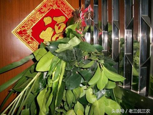 农村最辟邪的物件,民间辟邪的圣物