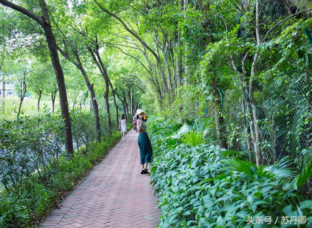 深圳世界之窗中途出去能再进吗,深圳世界之窗要准备什么