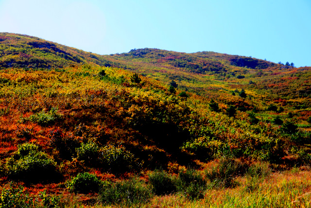 青龙山自然风景,青龙山山顶景色