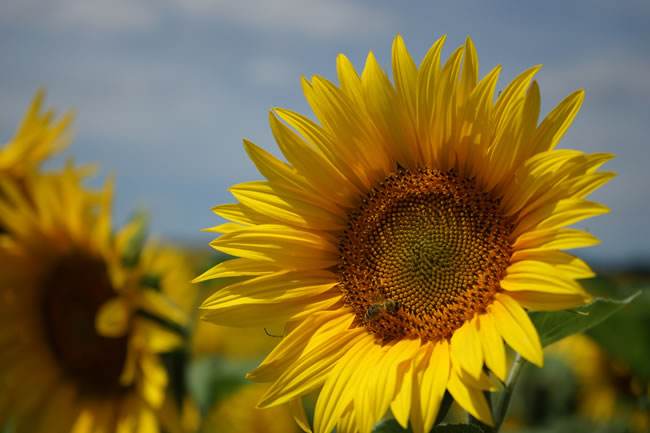 100句关于早安的说说,简短早安八个字励志语录