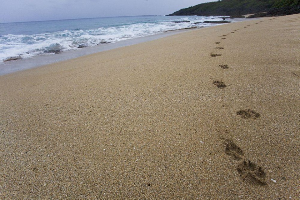 鲅鱼圈农家菜有哪些,鲅鱼圈最火农家