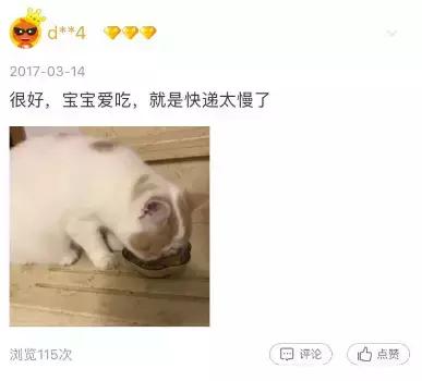 铝盆和鸡窝卖断货了,看猫咪用品创业商机