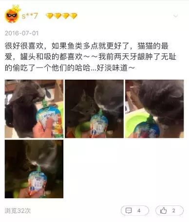 铝盆和鸡窝卖断货了,看猫咪用品创业商机