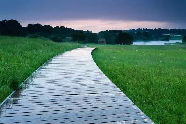 亭楼玉瓦+中式檀韵，精致了时光