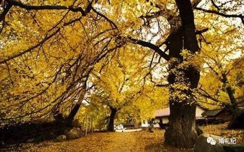 这样的婚纱照拍摄景点你中意吗,婚纱照拍摄圣地推荐