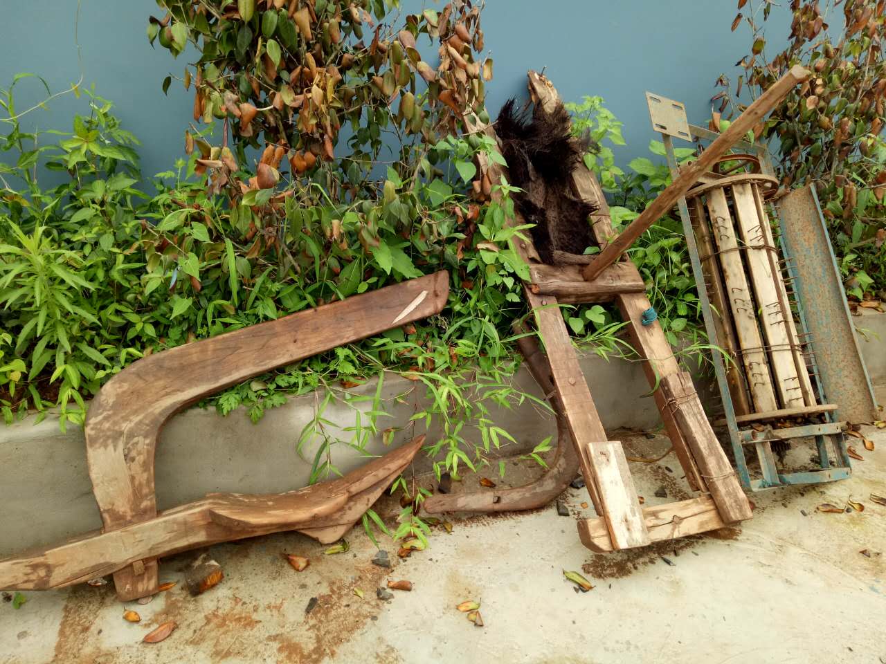 南充市世阳镇最新视频,南充世阳镇最新消息