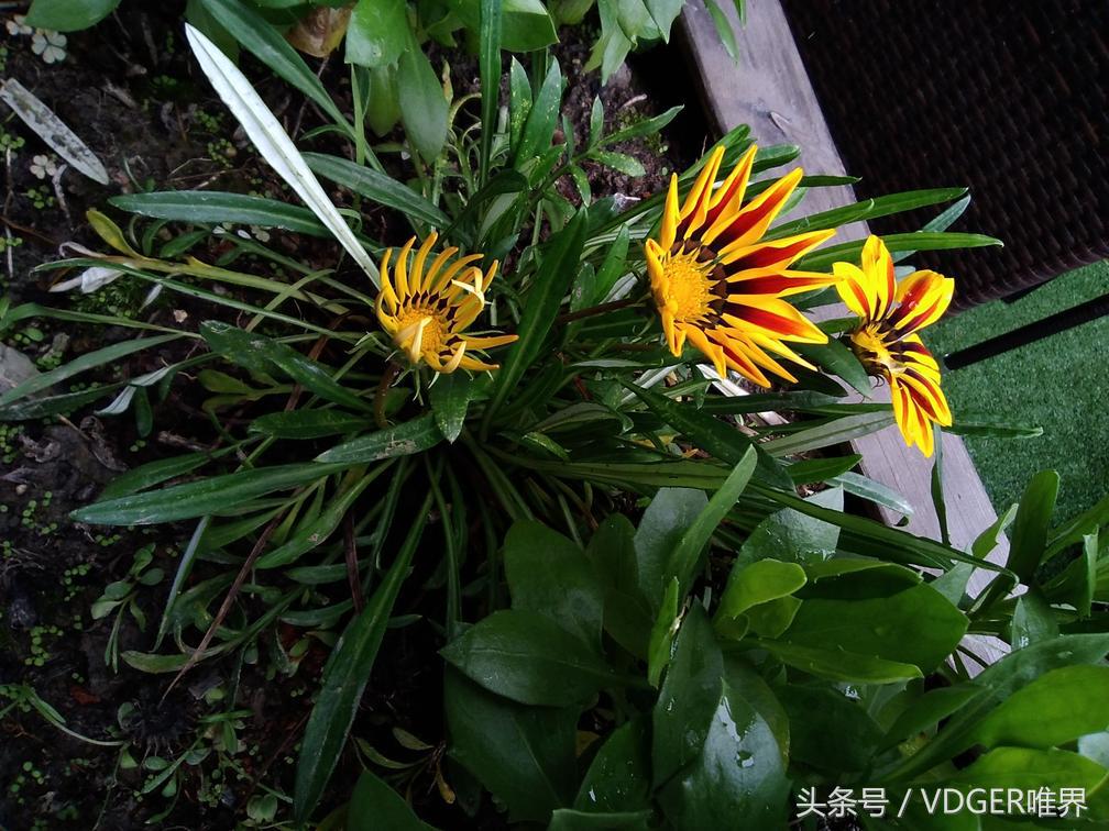 追剧游戏两不误ipad,追剧工作两不误