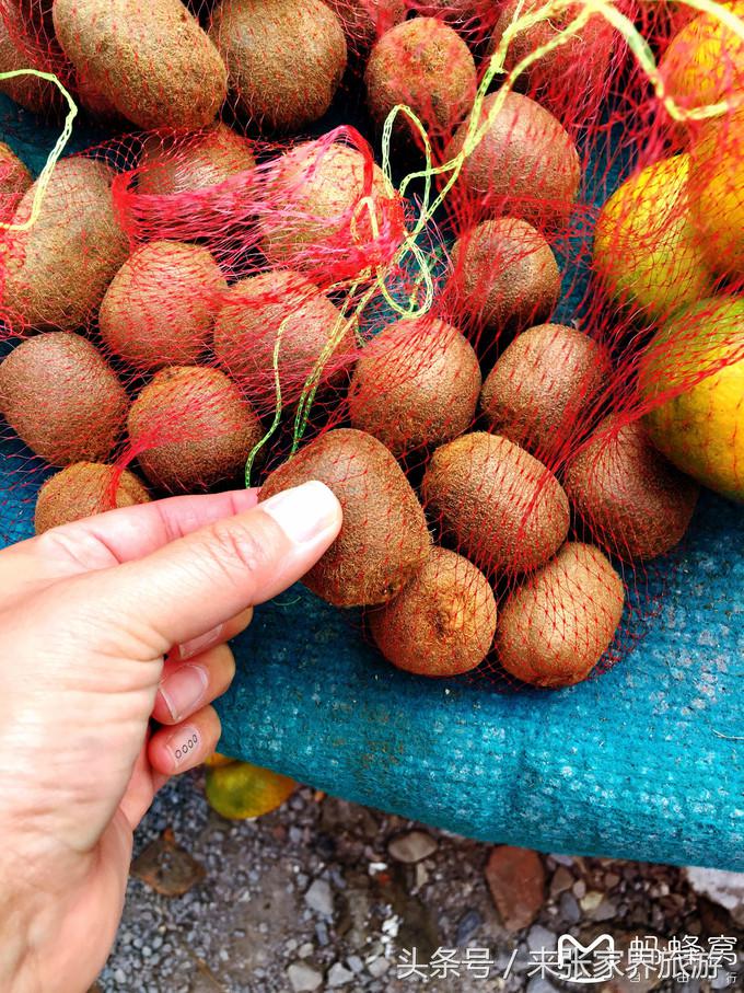 张家界五日游多少钱一个人 (自己张家界六日游详细攻略)