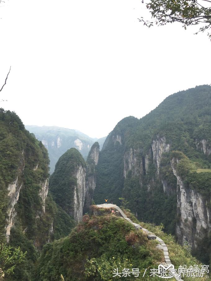 张家界五日游多少钱一个人 (自己张家界六日游详细攻略)