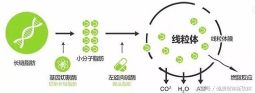 各类*肥药减**安全性大盘点，别让自己成了小白鼠