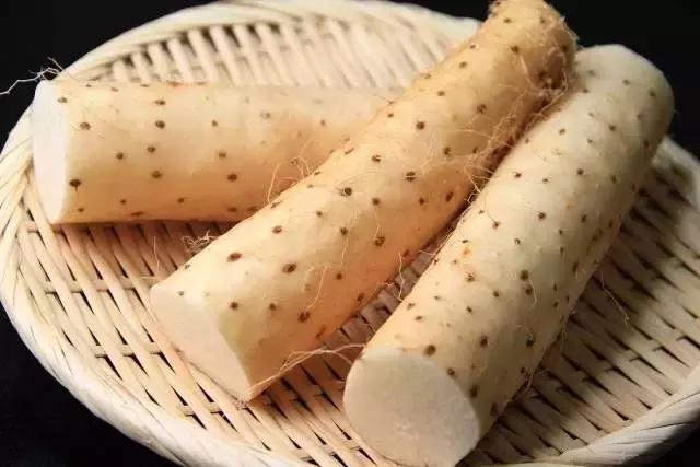 梅雨季防霉的东西,梅雨时节防霉最佳方法