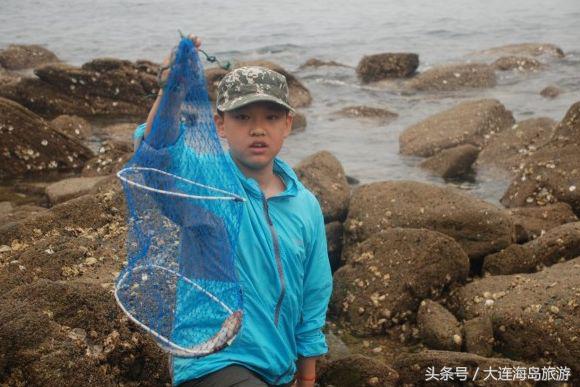 大连哈仙岛旅游多少钱,大连哈仙岛住宿推荐阳光渔村