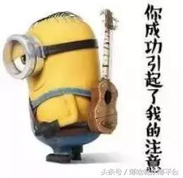 油桃还是毛桃,油桃和桃树怎么分辨