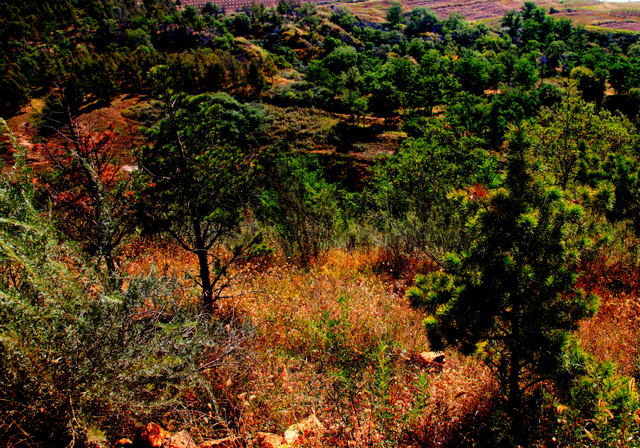 青龙山自然风景,青龙山山顶景色