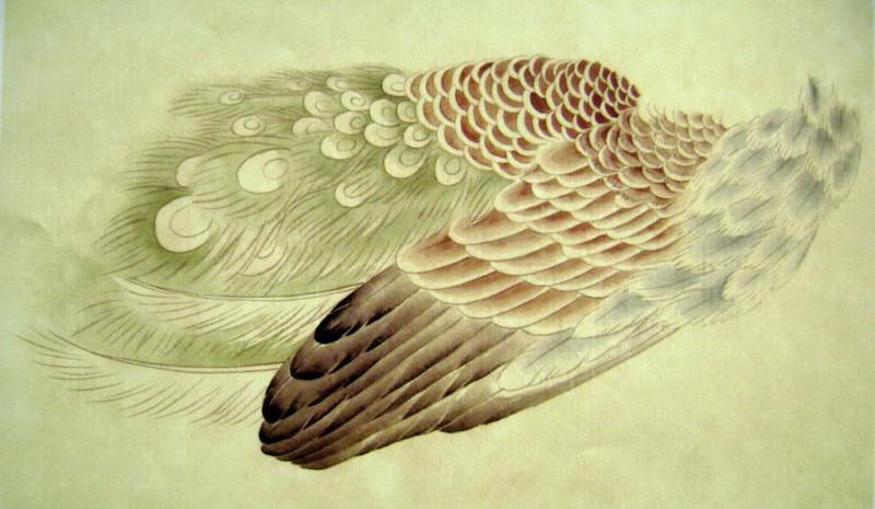 孔雀开屏的图片国画孔雀的画法,国画孔雀的画法图片