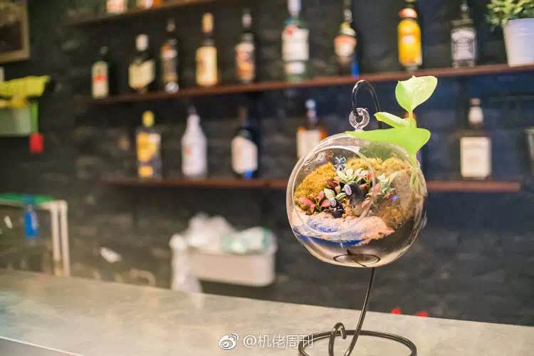 佳能6d2全面讲解,佳能6d2发布宣传片