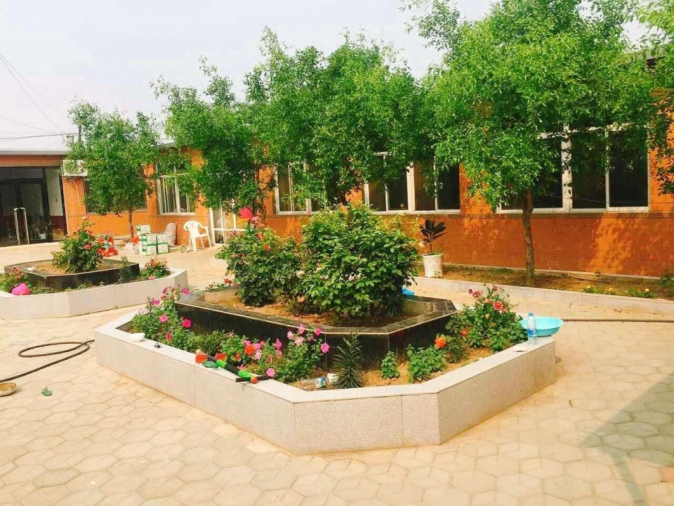 鲅鱼圈农家菜有哪些,鲅鱼圈最火农家