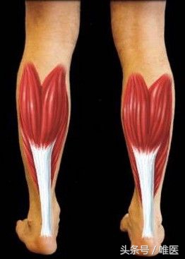 跟腱炎脚后跟疼最快的恢复办法,跟腱炎是持续的疼还是运动时候疼