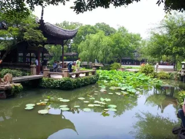 亭楼玉瓦+中式檀韵，精致了时光