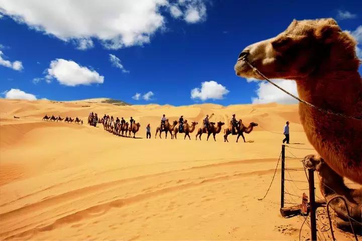 武汉-兰州仅需7小时!大西北线路美醉了!