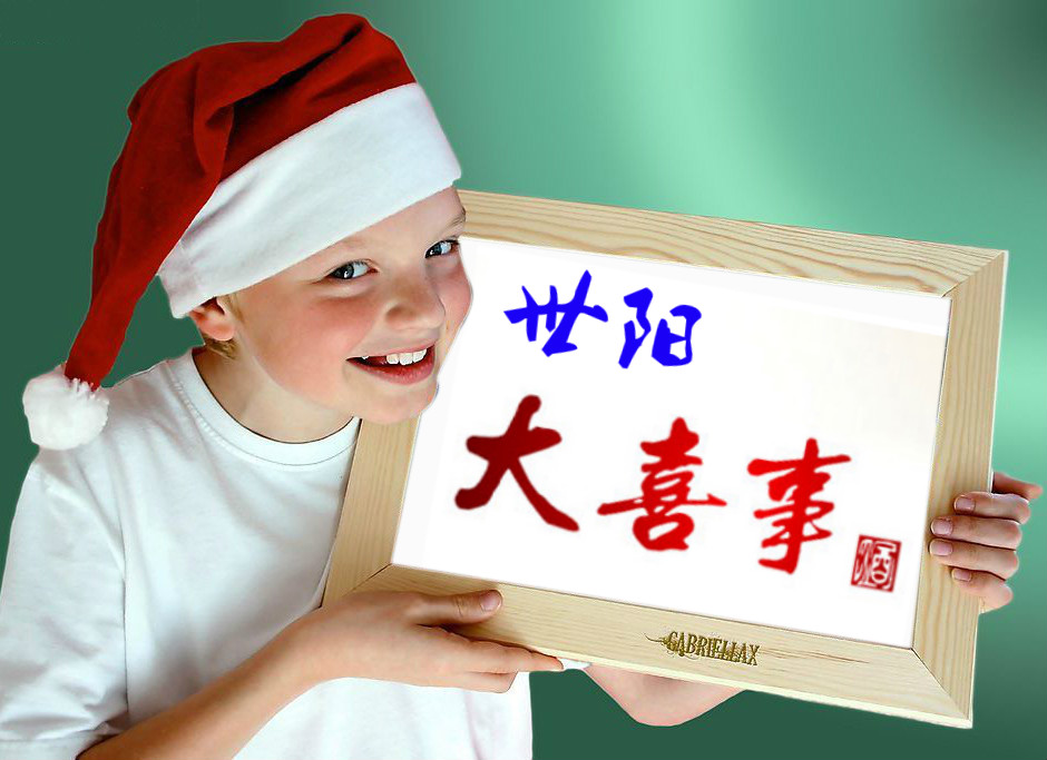 南充市世阳镇最新视频,南充世阳镇最新消息