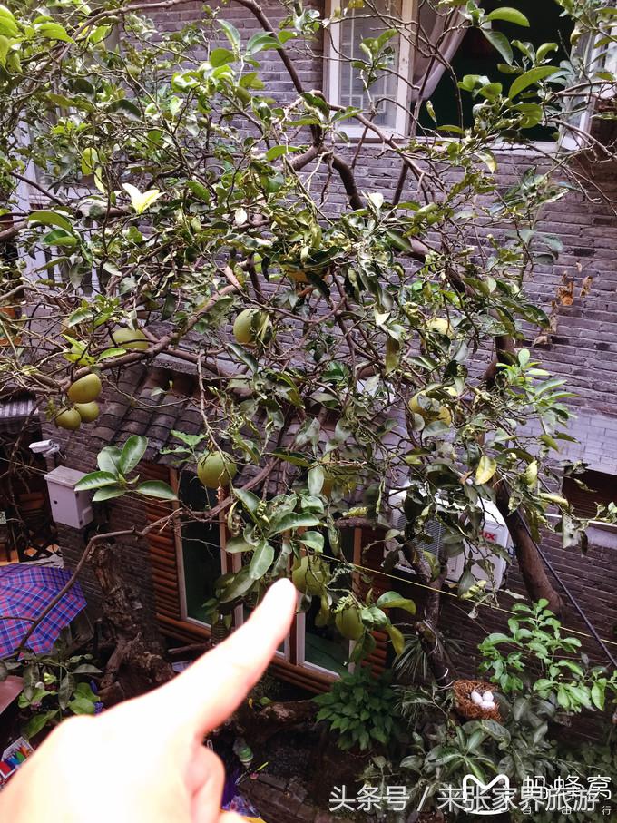 张家界五日游多少钱一个人 (自己张家界六日游详细攻略)