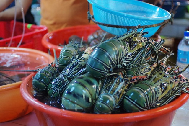 厦门的虾,厦门有哪几种虾