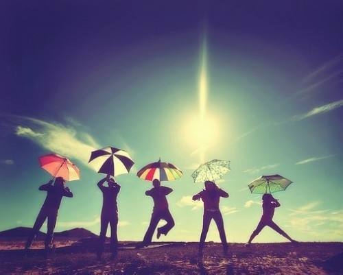 属猪十二星座运势分析,属猪人星座运势