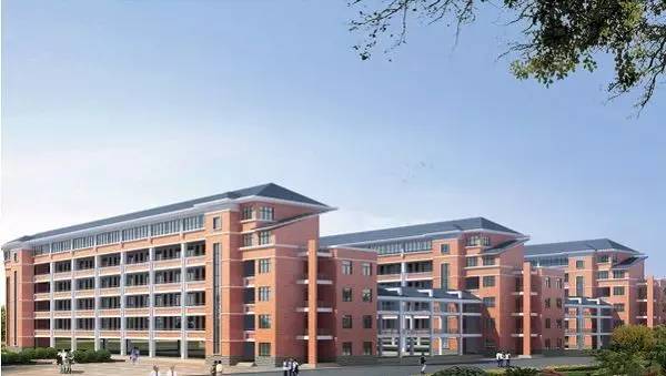 安徽状元中学排行榜,安徽高中最厉害的学校排名榜