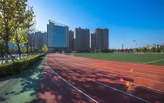 安徽状元中学排行榜,安徽高中最厉害的学校排名榜