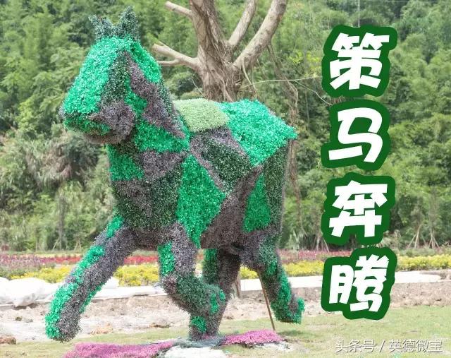 刘家旺普罗旺斯薰衣草花海,法国普罗旺斯薰衣草花海唯美视频