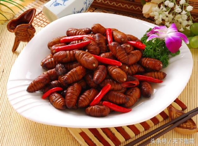 吐丝不结茧,吐司不拉丝