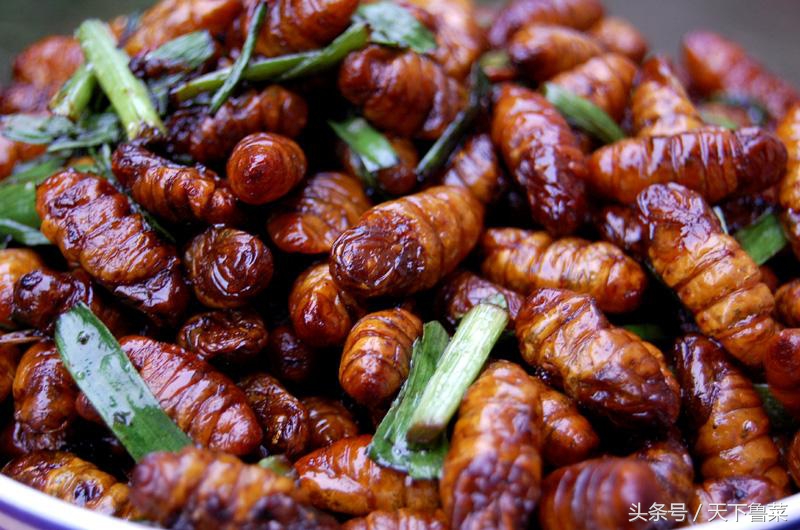 吐丝不结茧,吐司不拉丝