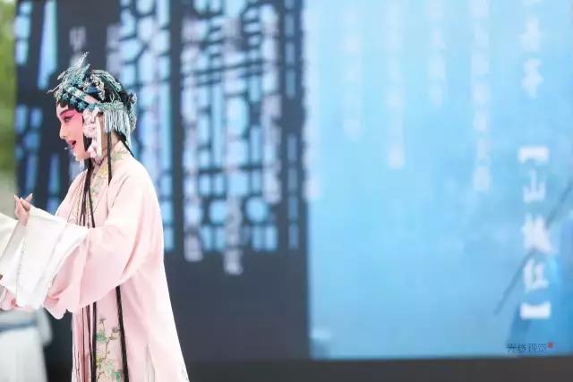 遇仙|这个夏日,在神仙居,邂逅一场烟霞之约