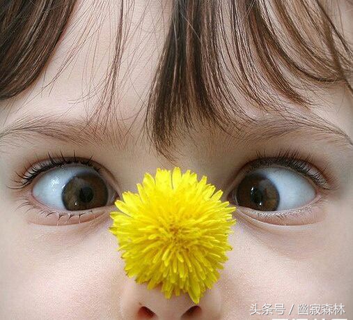 去黑头拔出来的是什么,去黑头拔出来是白色的